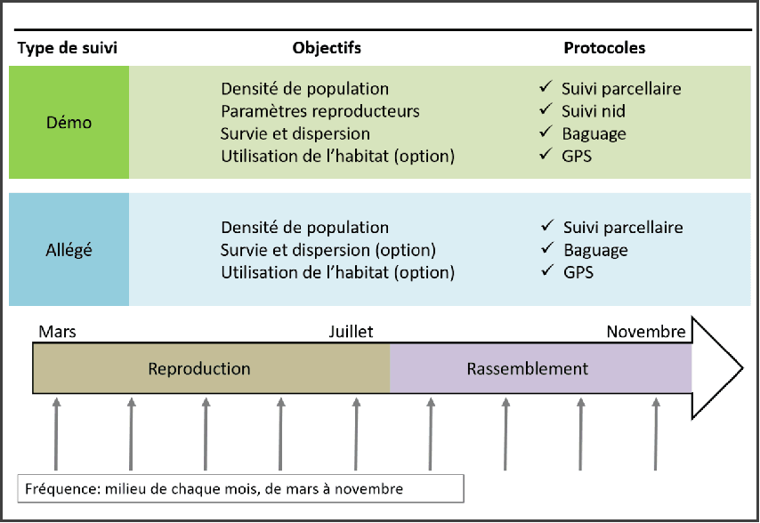 Tableau comparatif des protocoles de suivi démo et allégé